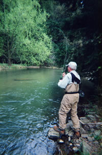 fisherman
